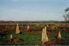 Termite Mounds Near Floodplain - Arnhemland